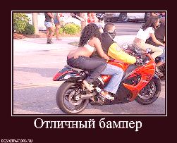 L oreal  